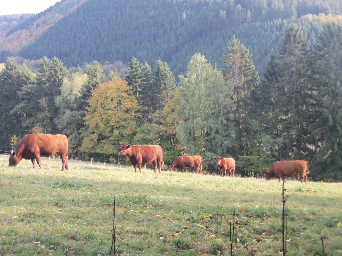 Urlaub Auf Dem Bauernhof Netphen Exterior foto