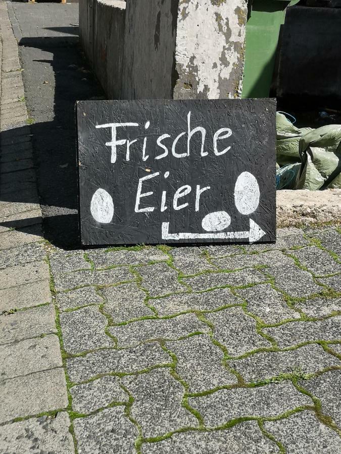 Urlaub Auf Dem Bauernhof Netphen Exterior foto